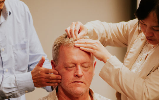 Basics of Zhu's Scalp Acupuncture | Melbourne 2026