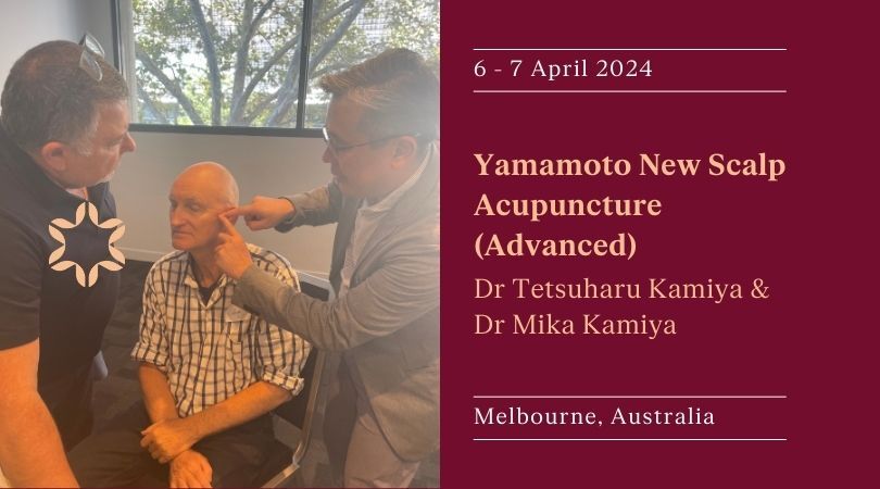 Yamamoto New Scalp Acupuncture: Advanced