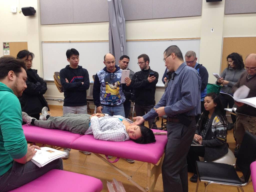 Neuro-Meridian Acupuncture Intensive: Module 1