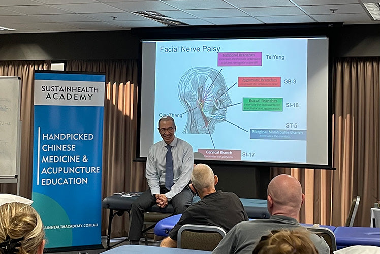 Neuro-Meridian Acupuncture Intensive: Module 3
