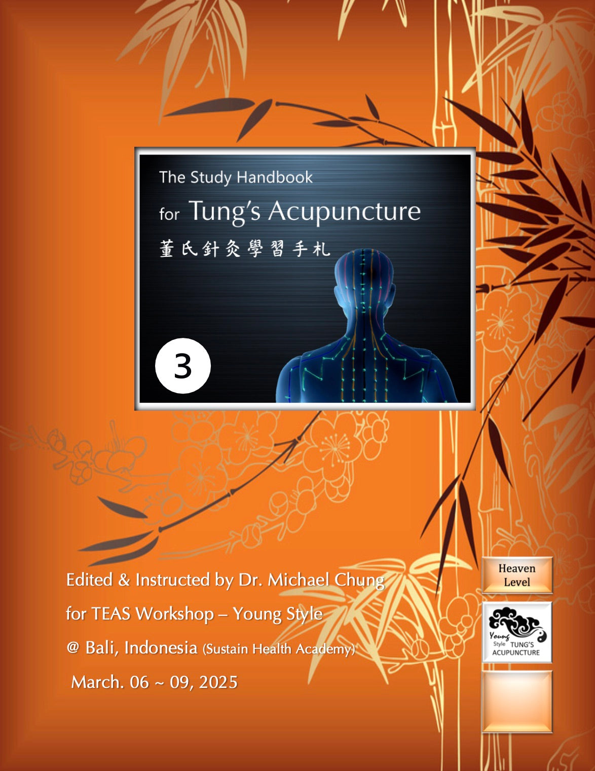 Tung's Acupuncture Workshop 3 — Heaven Level